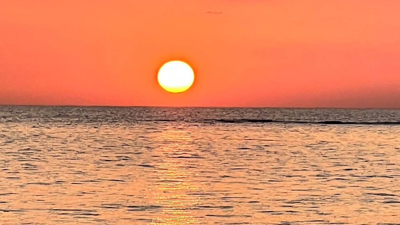 Photo of Others in Little Bay