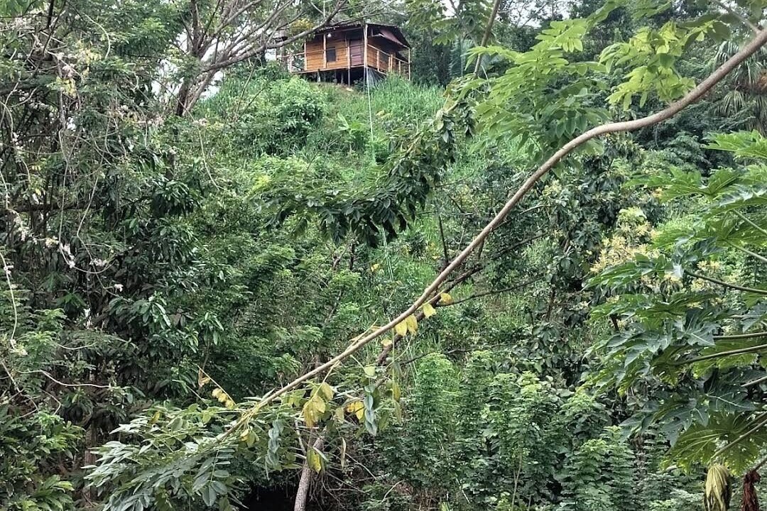 Photo of Outdoor in Buritaca