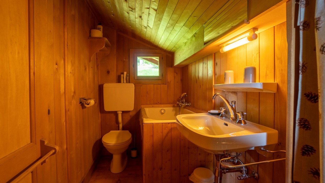 Photo of Bathroom in Alpe des Chaux