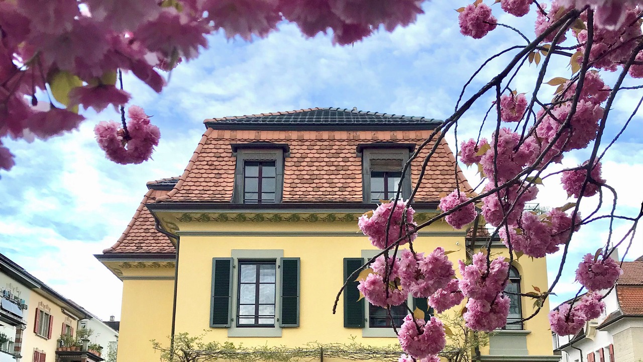 Photo of Outdoor in Breitenrain-Lorraine