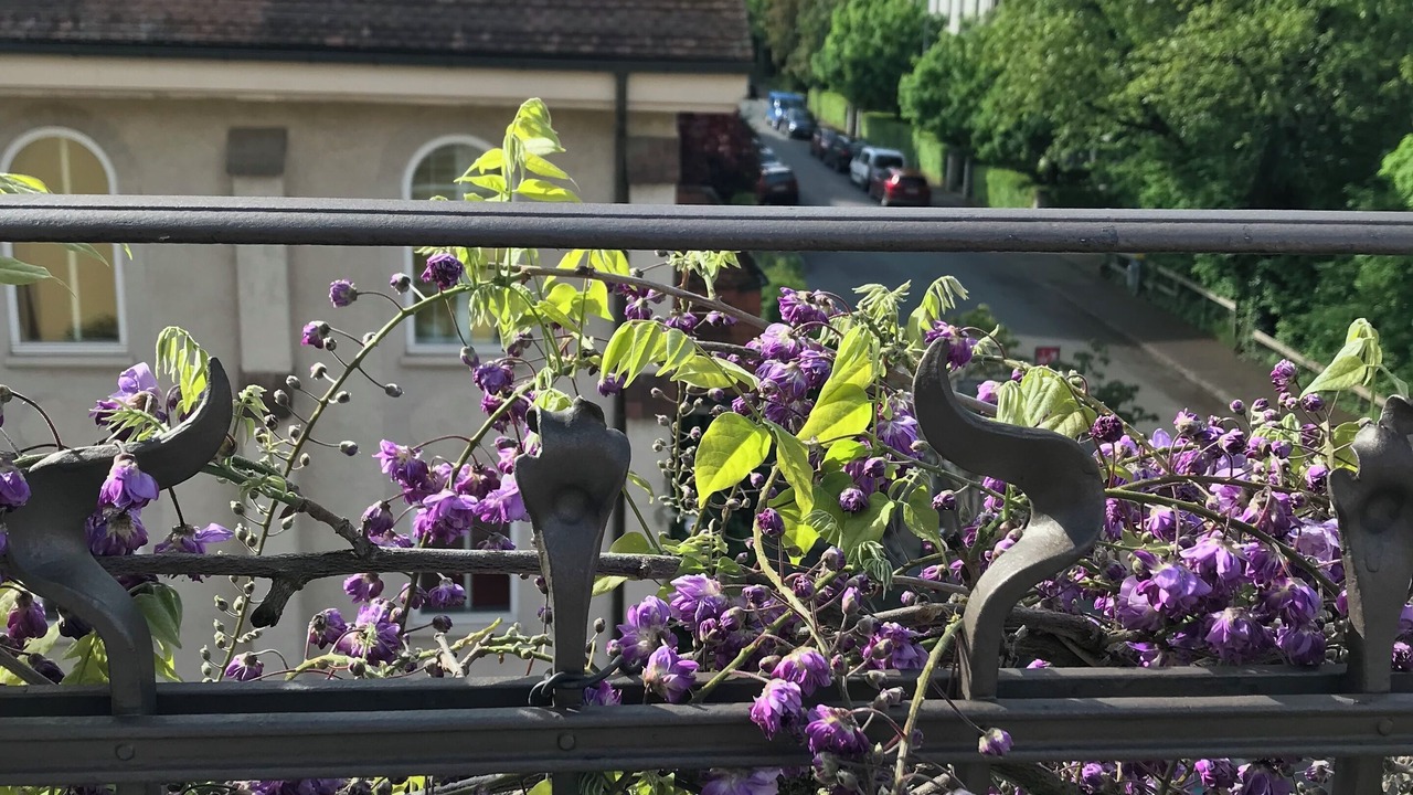 Photo of Outdoor in Breitenrain-Lorraine