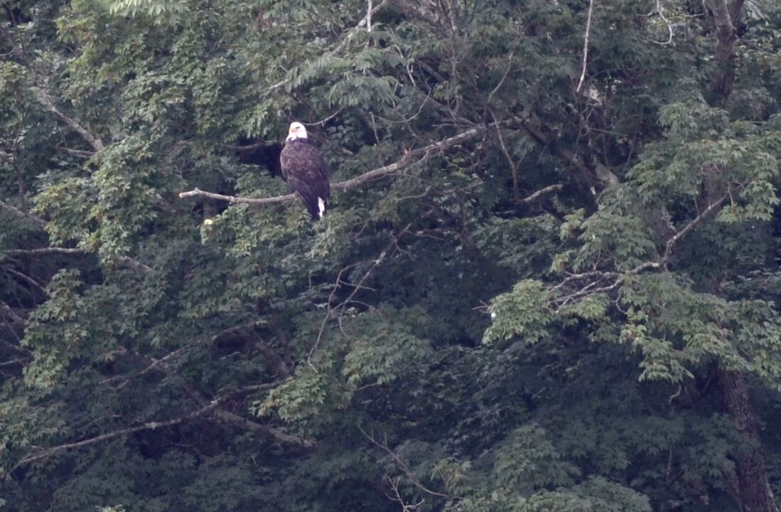Photo of Others in Narrowsburg