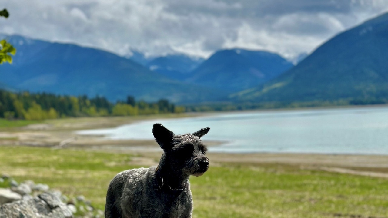 Photo of Others in Central Kootenay