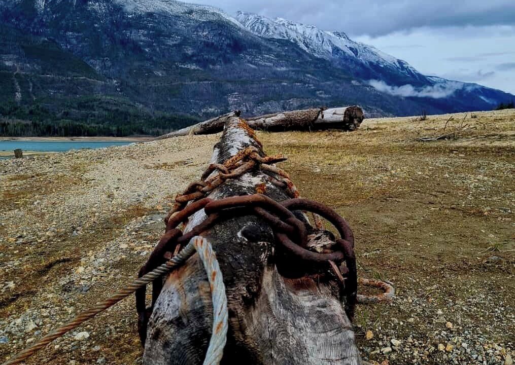 Photo of Others in Central Kootenay