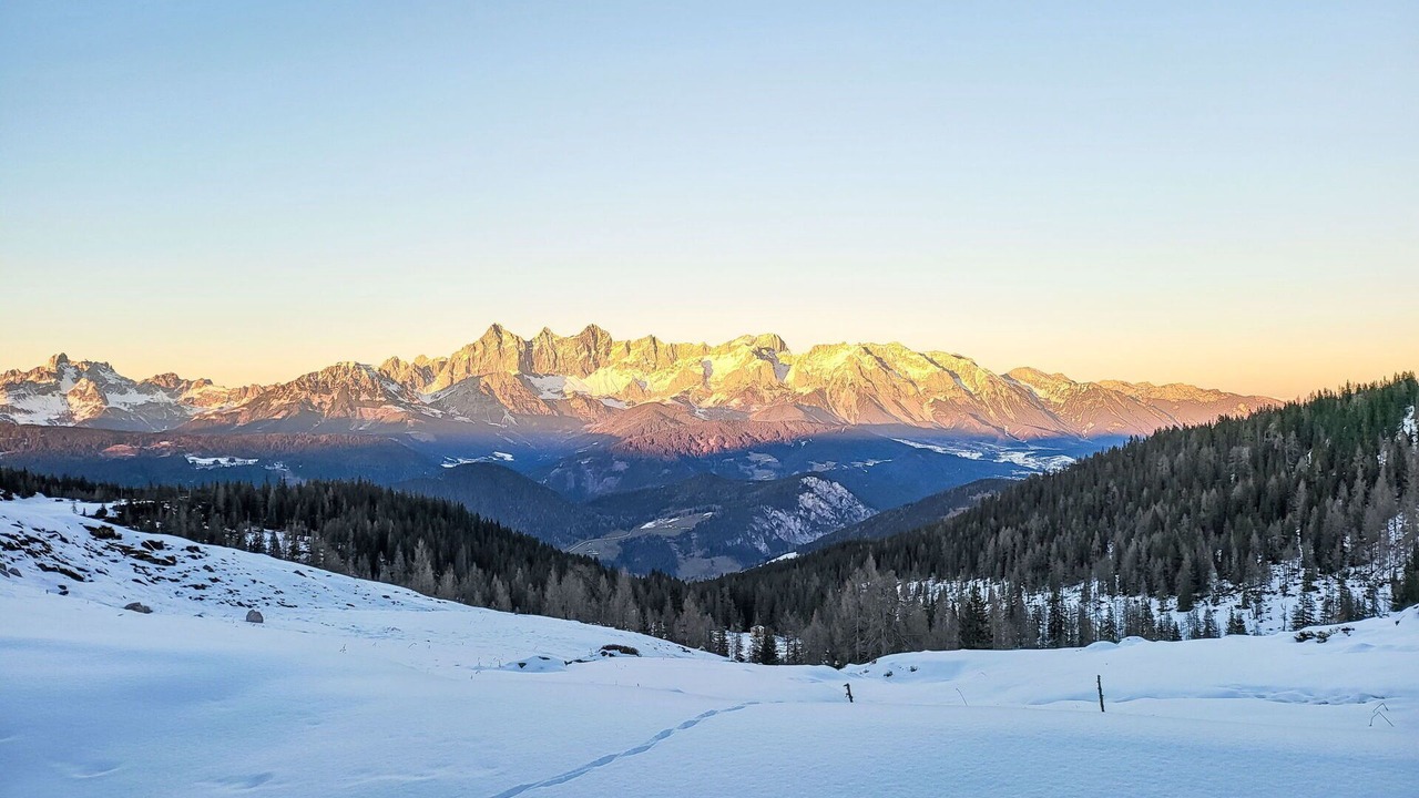 Photo of Others in Forstau