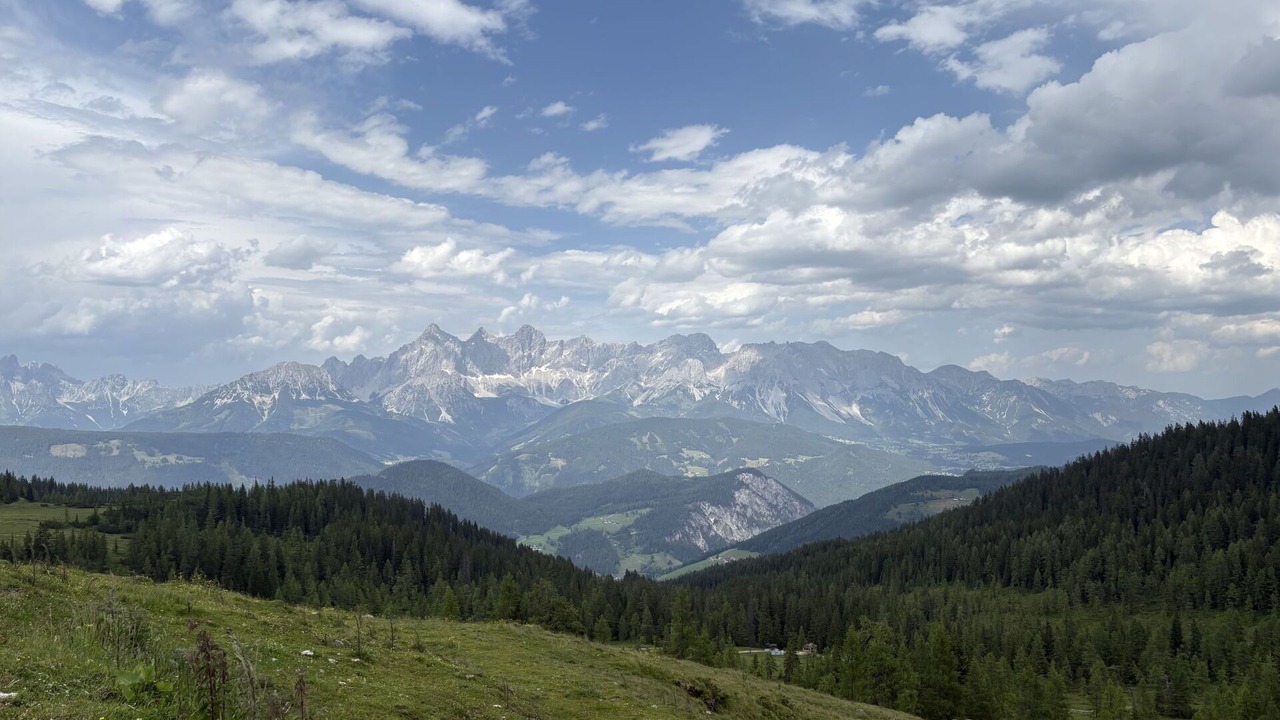 Photo of Others in Forstau