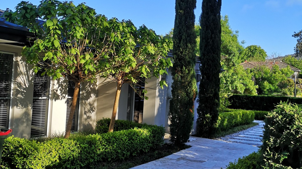 Photo of Outdoor in Campbell