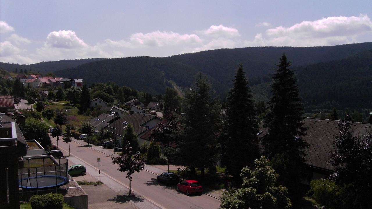 Photo of Others in Neustadt