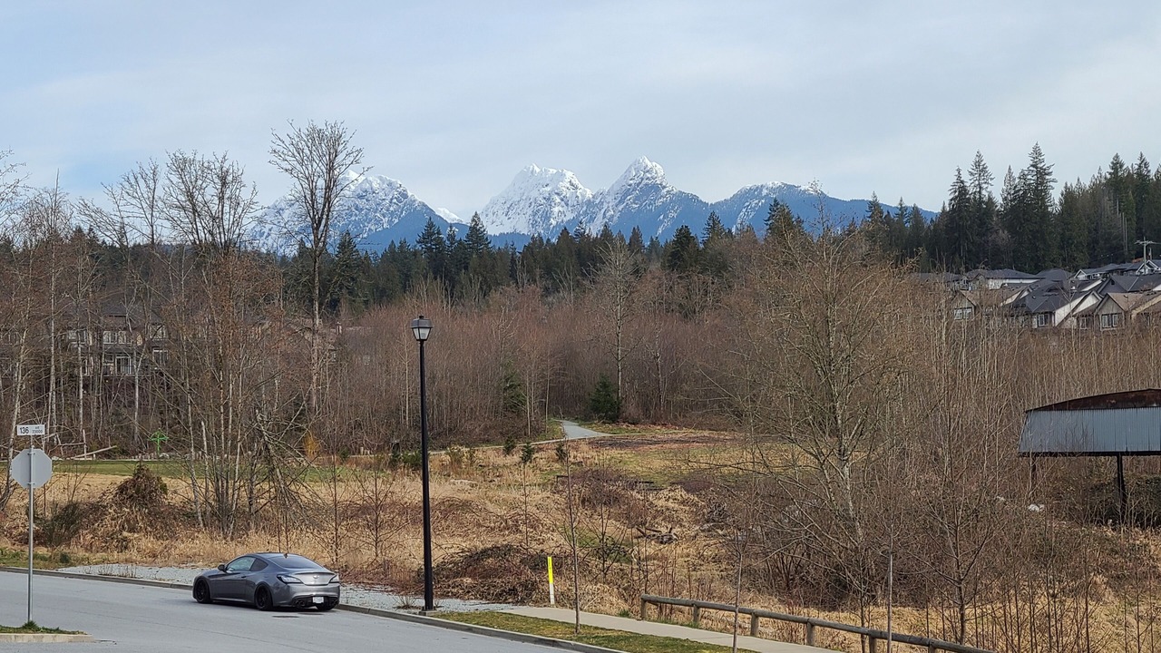 Photo of Others in Maple Ridge