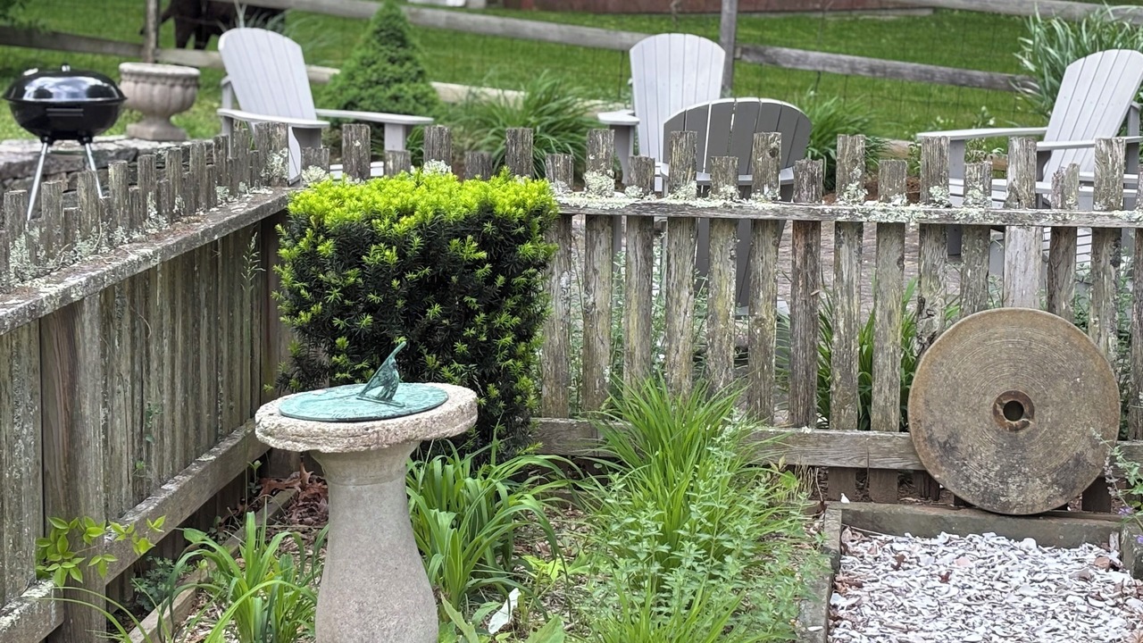 Photo of Outdoor in Lyme