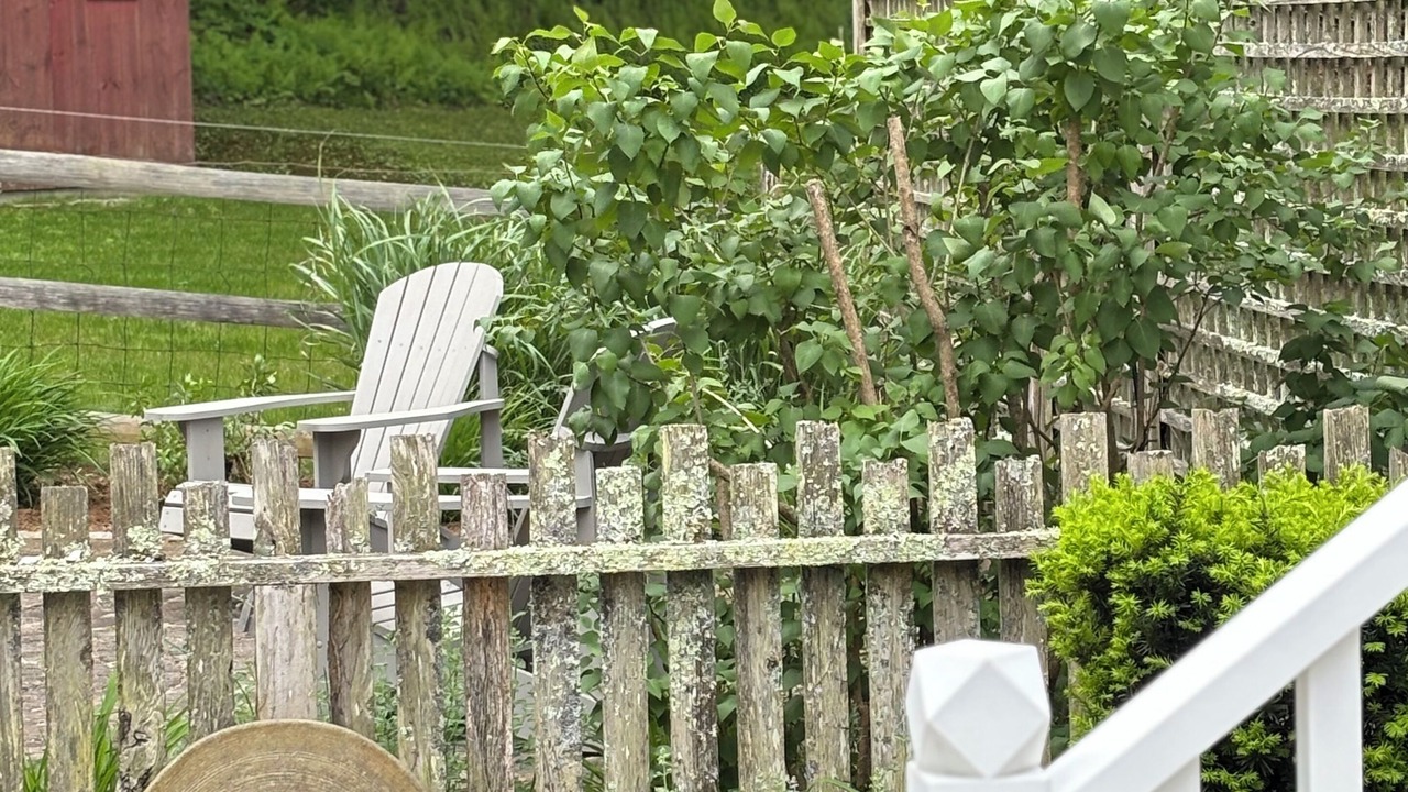 Photo of Outdoor in Lyme