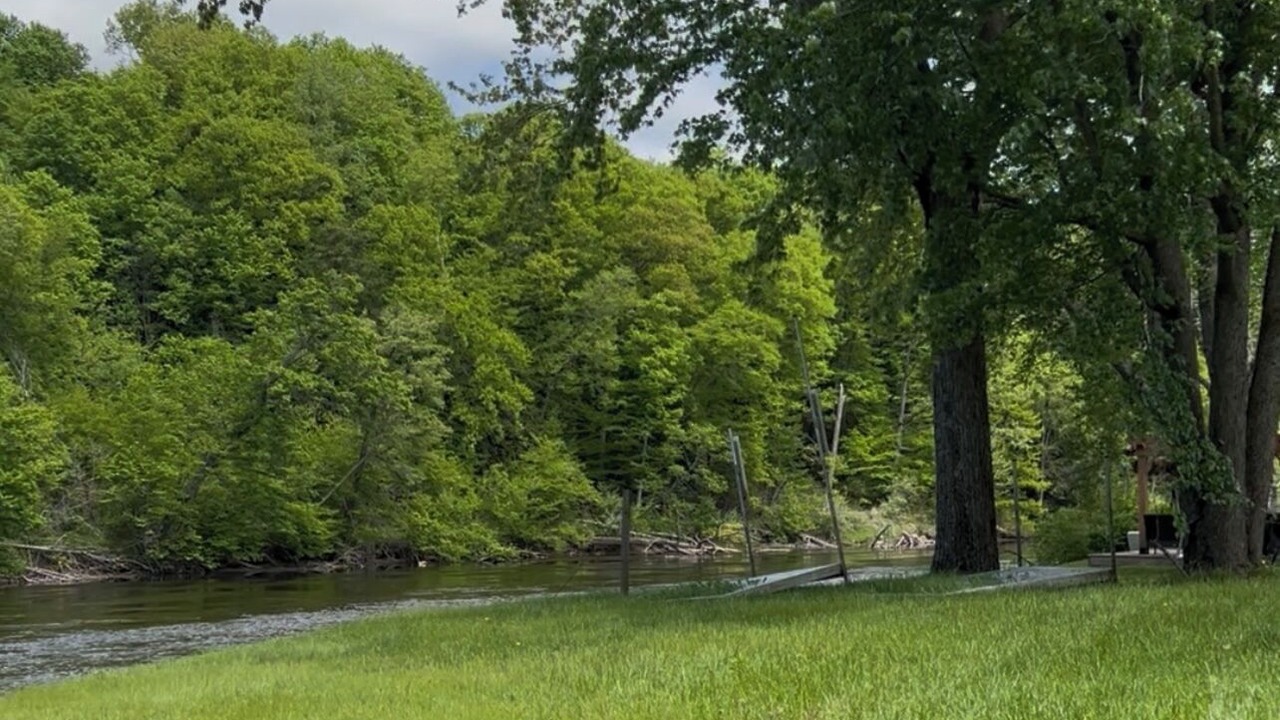 Photo of Others in Grant