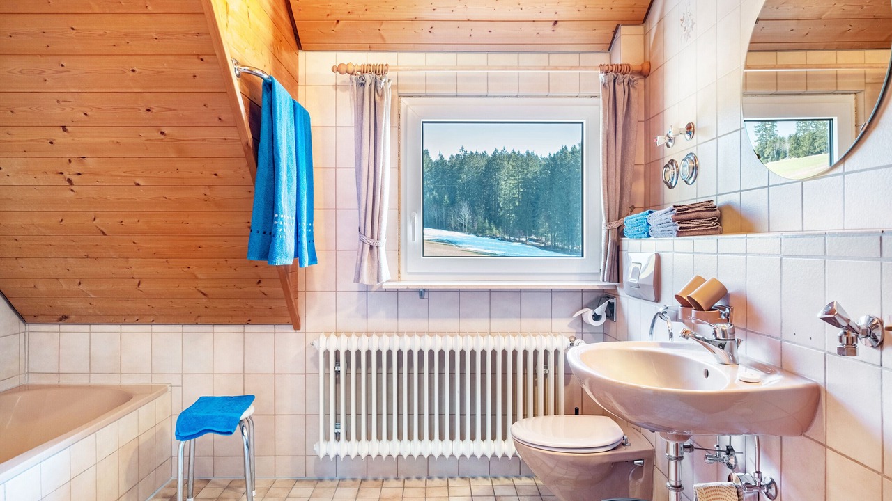 Photo of Bathroom in Titisee-Neustadt