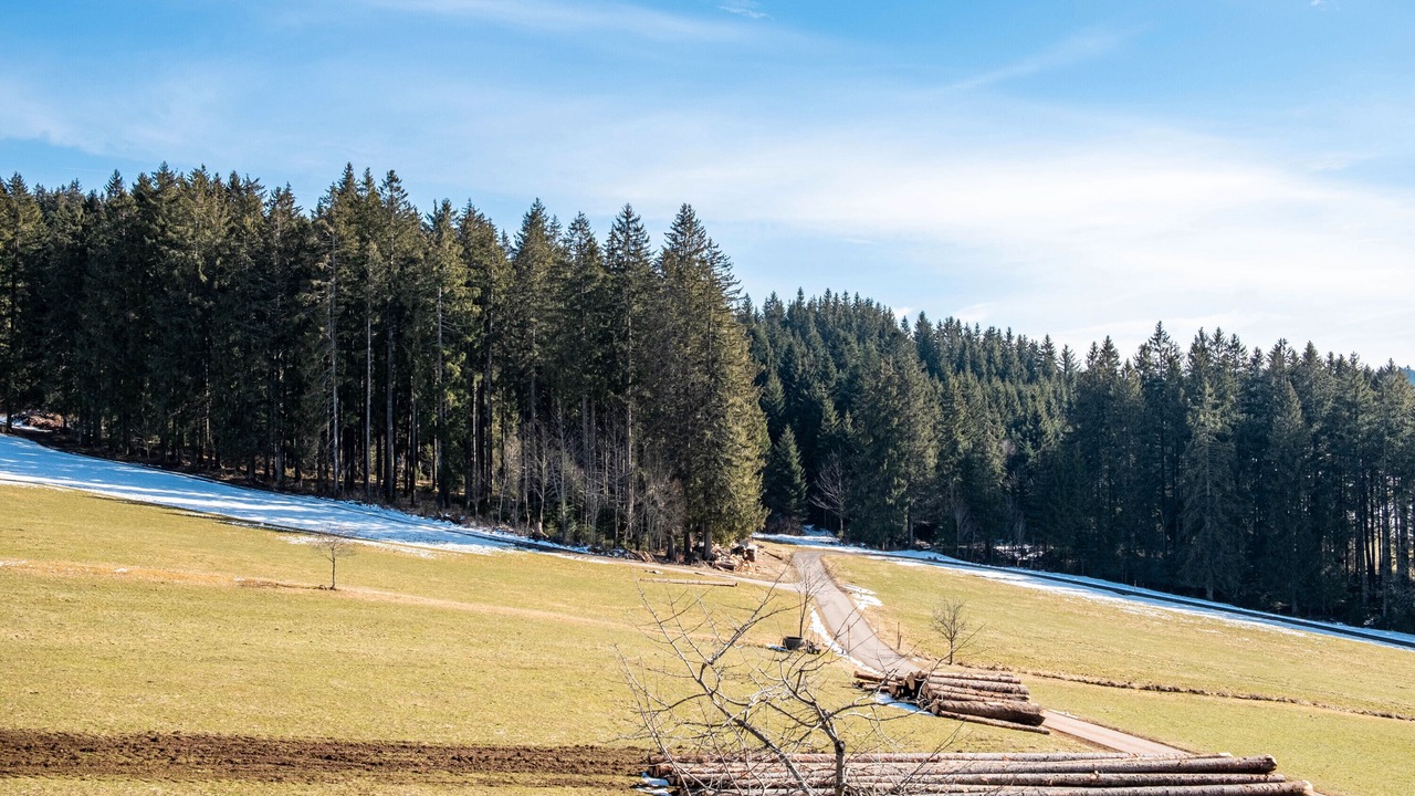 Photo of Others in Titisee-Neustadt