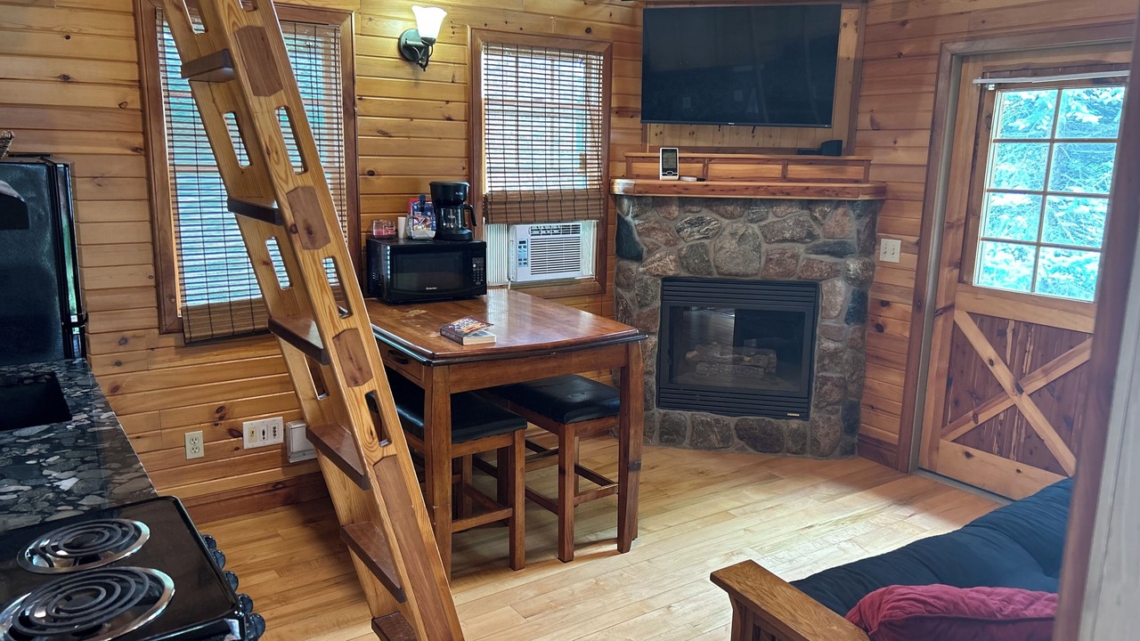 Photo of Livingroom in Newaygo