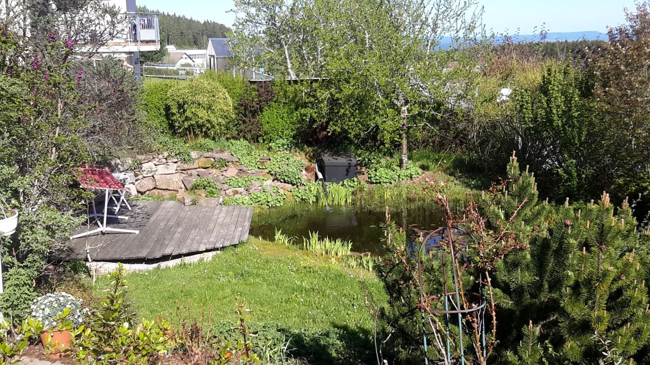 Photo of Outdoor in Eisenbach