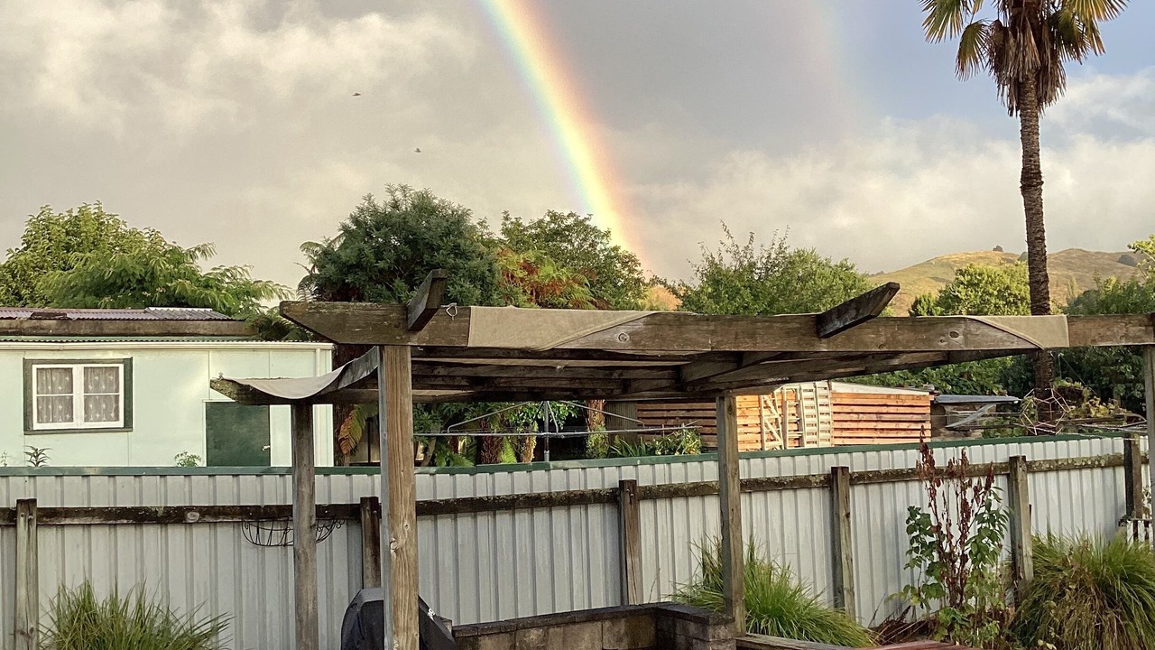 Photo of Outdoor in Taumarunui