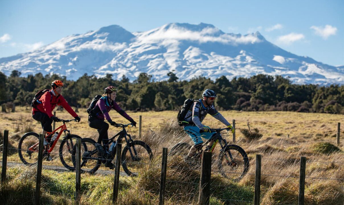 Photo of Others in Taumarunui