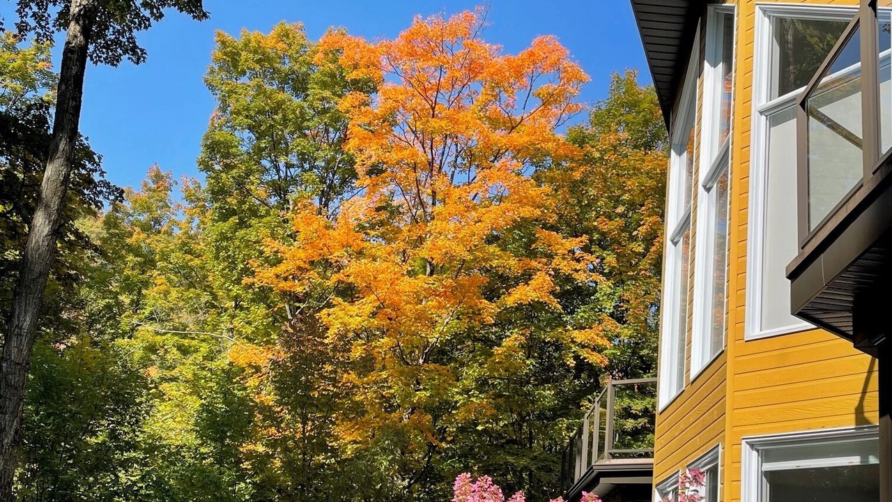 Photo of Outdoor in Bromont
