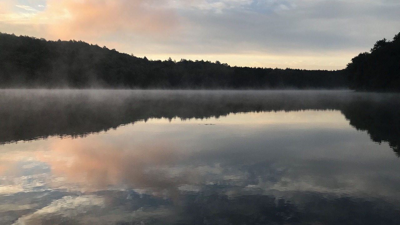Photo of Others in Cochecton