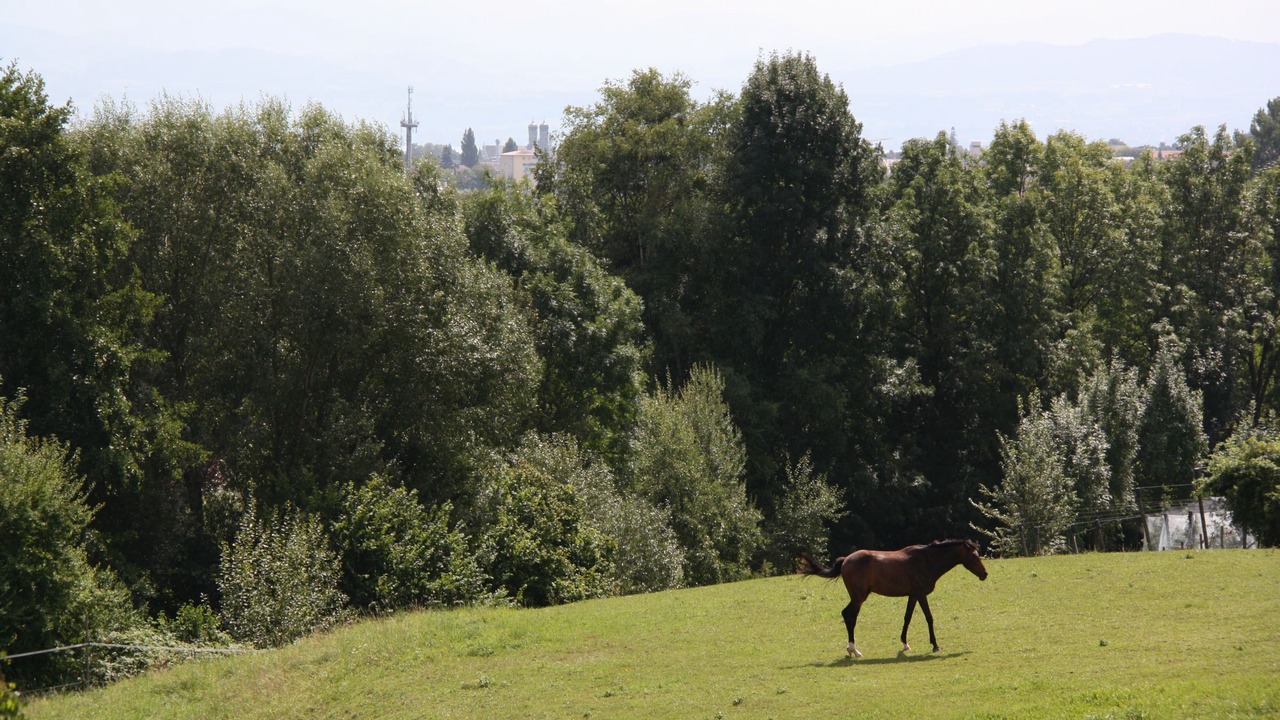 Photo of Others in Ailingen