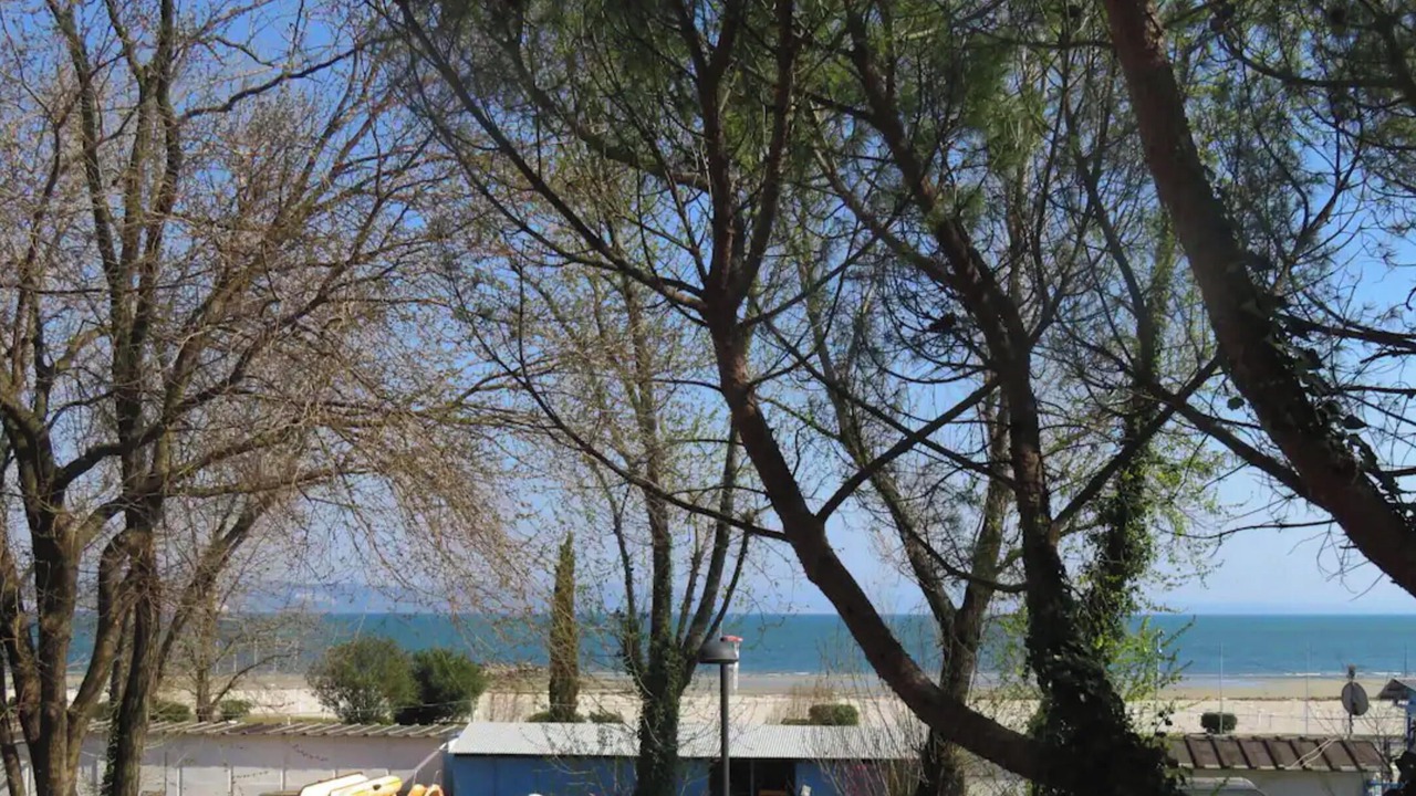 Photo of Others in Marina Julia