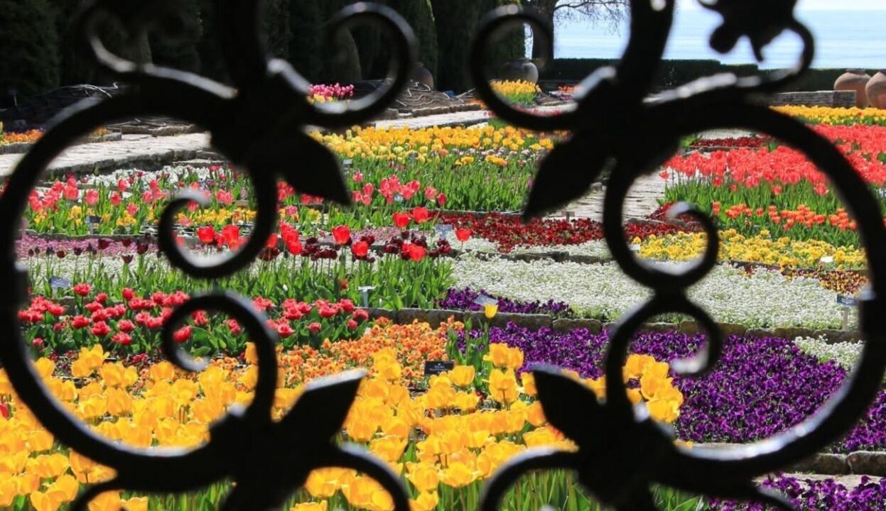 Photo of Outdoor in Balchik