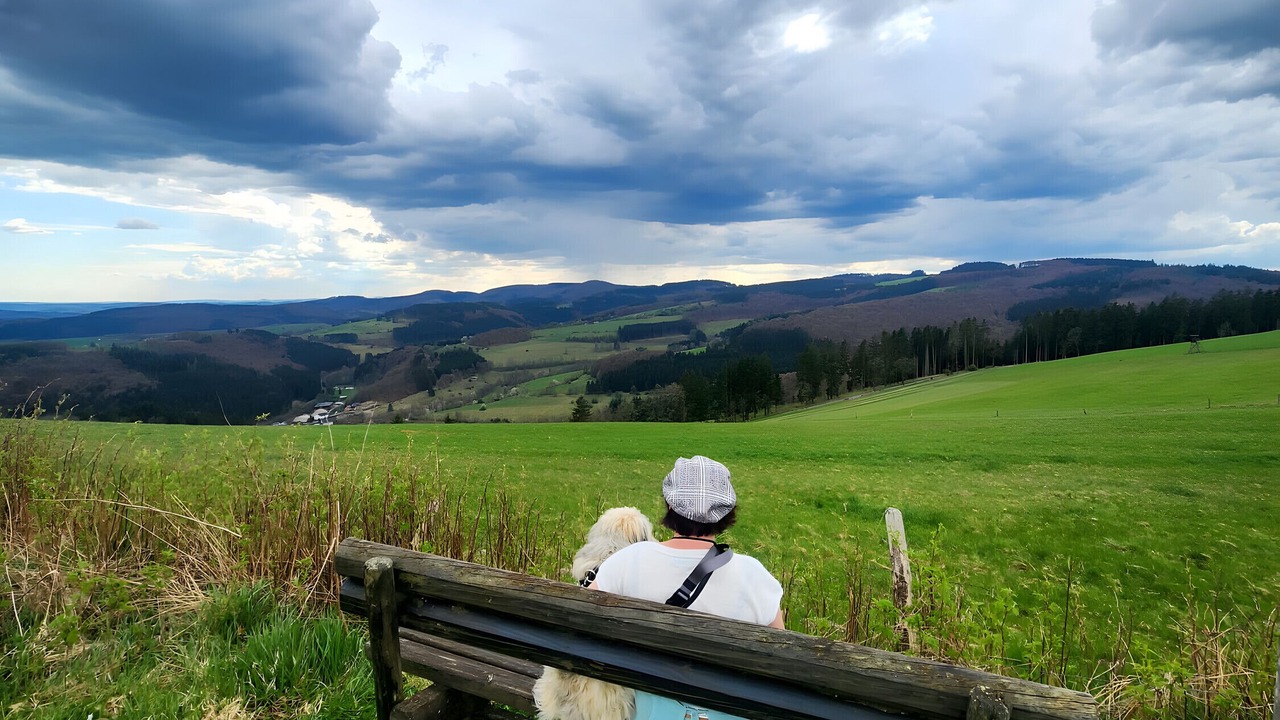 Photo of Others in Olsberg