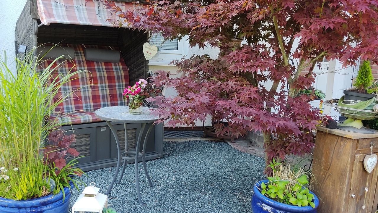 Photo of Patio Balcony in Olsberg