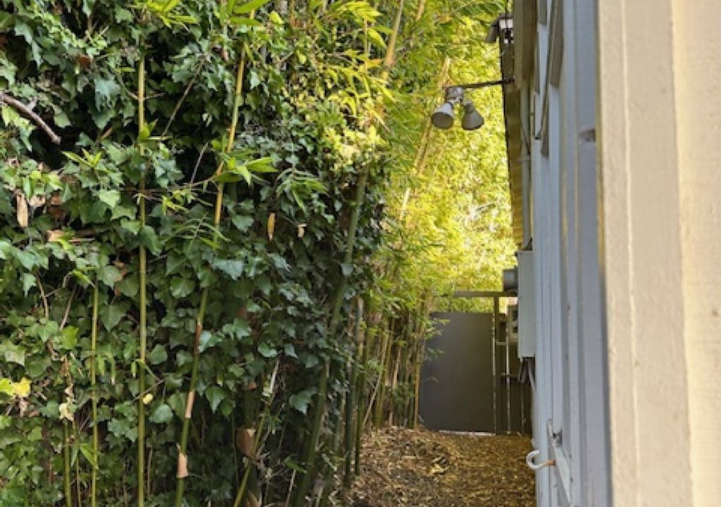 Photo of Outdoor in Venice