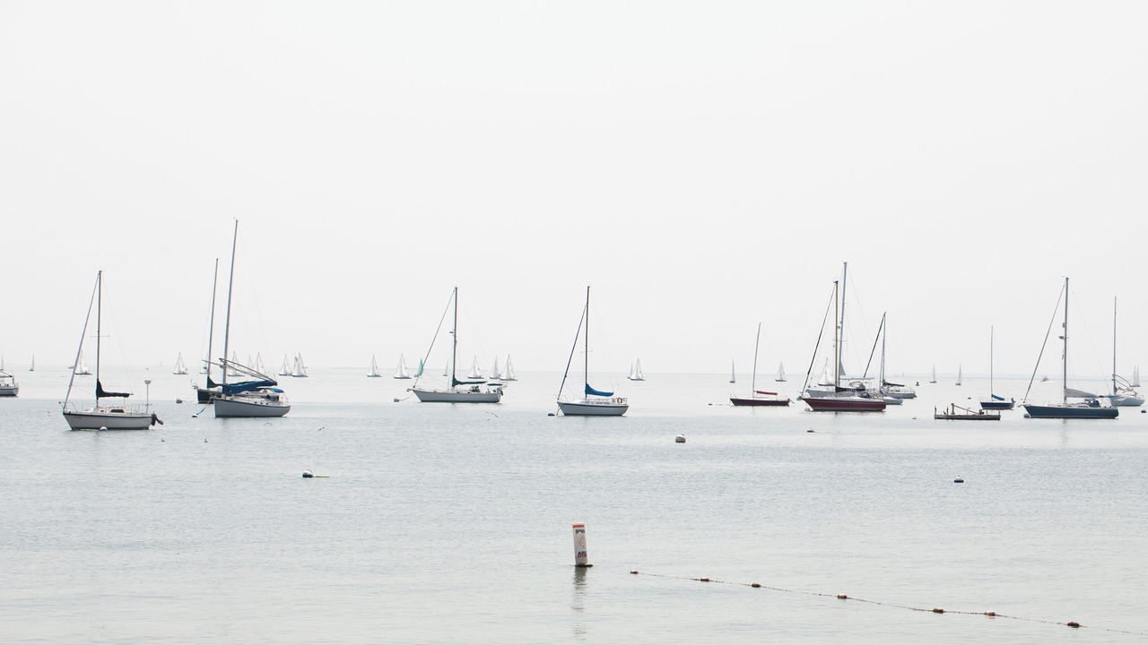 Photo of Others in Niantic