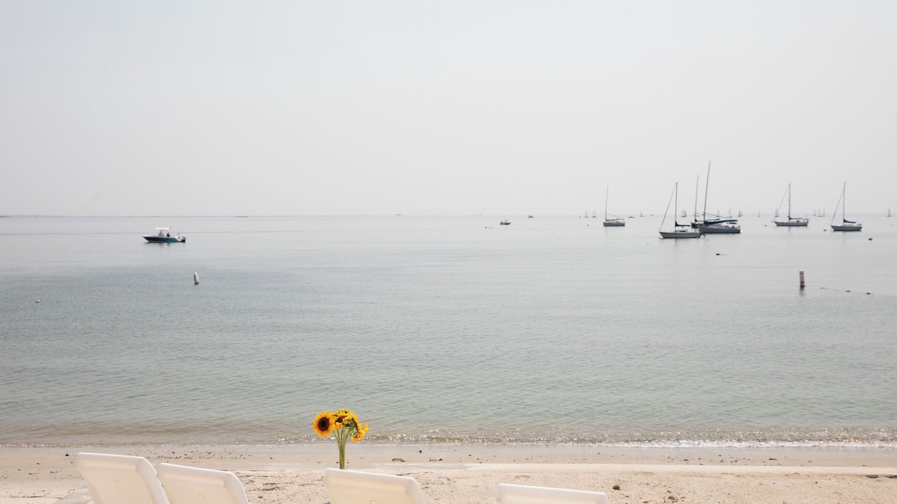 Photo of Others in Niantic