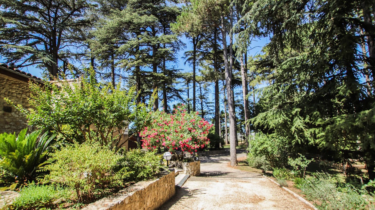 Photo of Others in Saulce-sur-Rhone