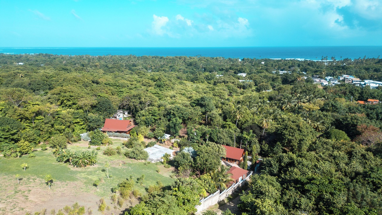 Photo of Outdoor in Punta Sur