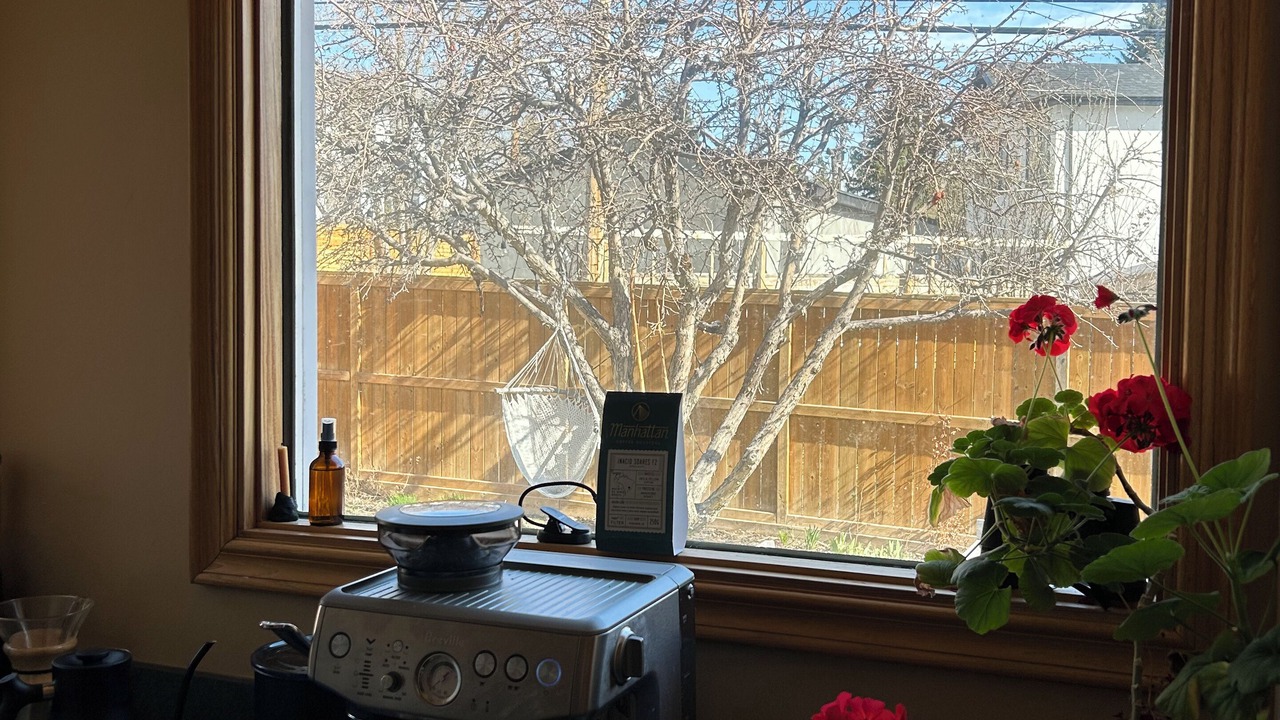 Photo of Others in Northwest Calgary
