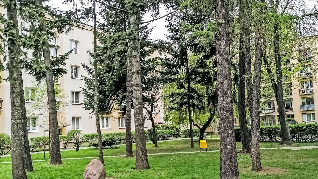 Photo of Outdoor in Wola