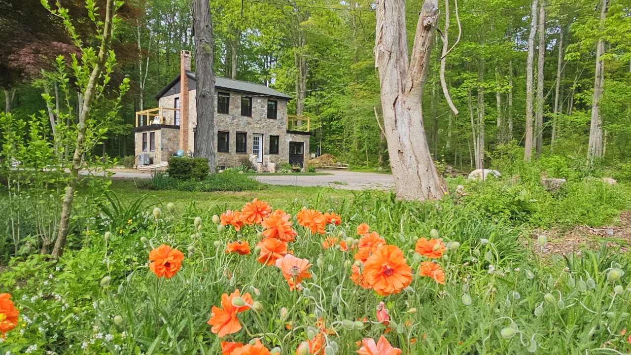Photo of Outdoor in Clinton