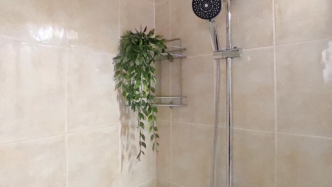Photo of Bathroom in Tankovo