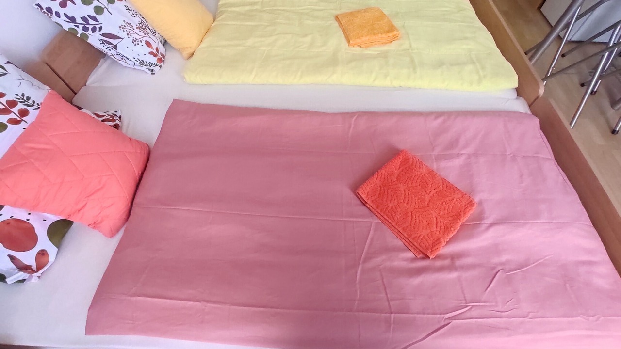 Photo of Bedroom in Tankovo