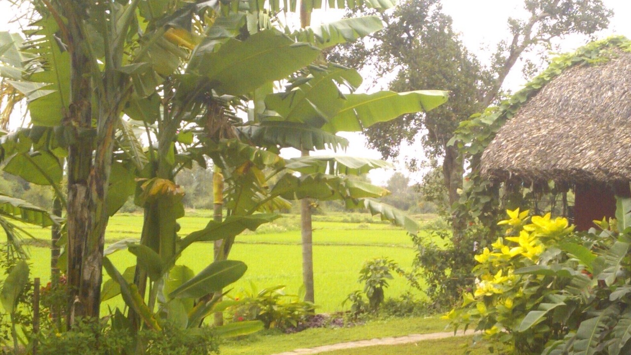Photo of Outdoor in Cam Pho