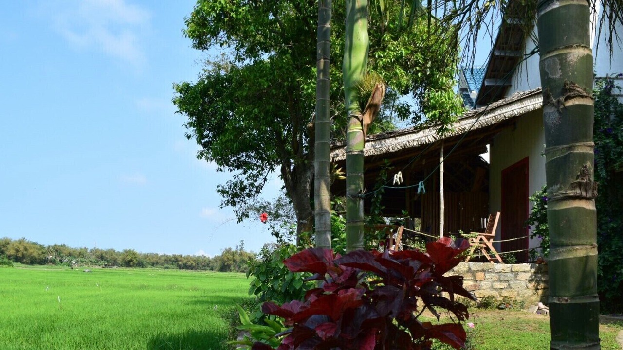 Photo of Outdoor in Cam Pho