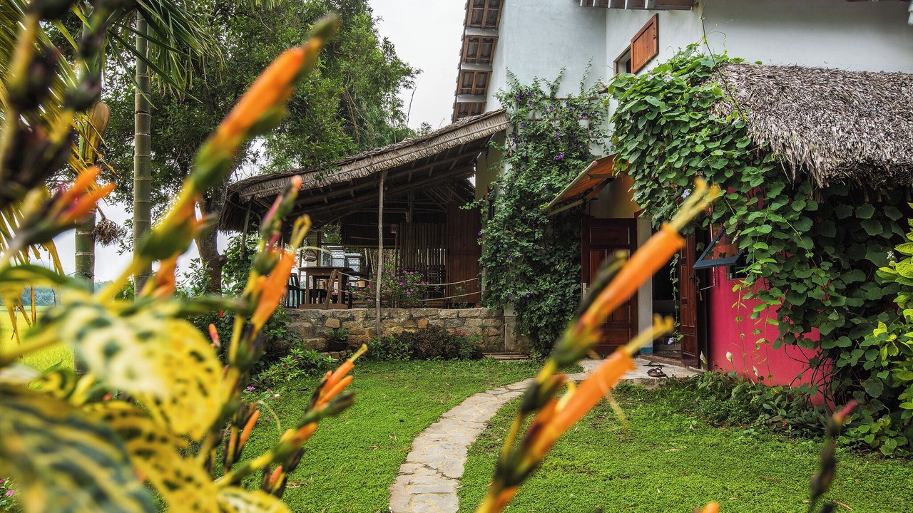 Photo of Outdoor in Cam Pho