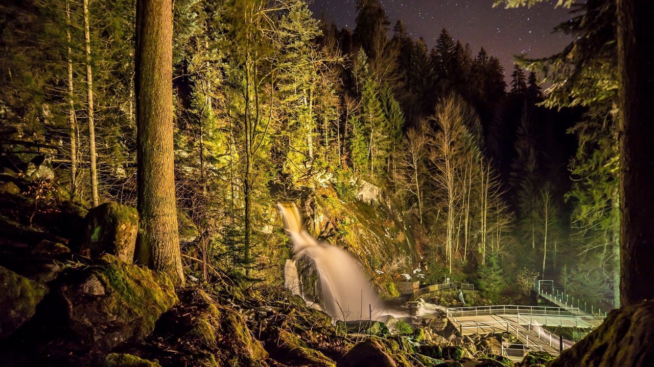 Photo of Others in Hinterzarten