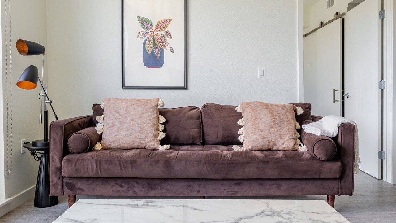 Photo of Livingroom in Downtown Berkeley