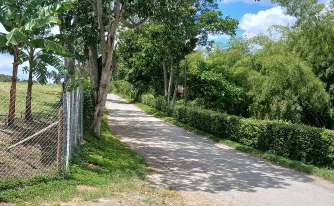 Photo of Outdoor in Montenegro