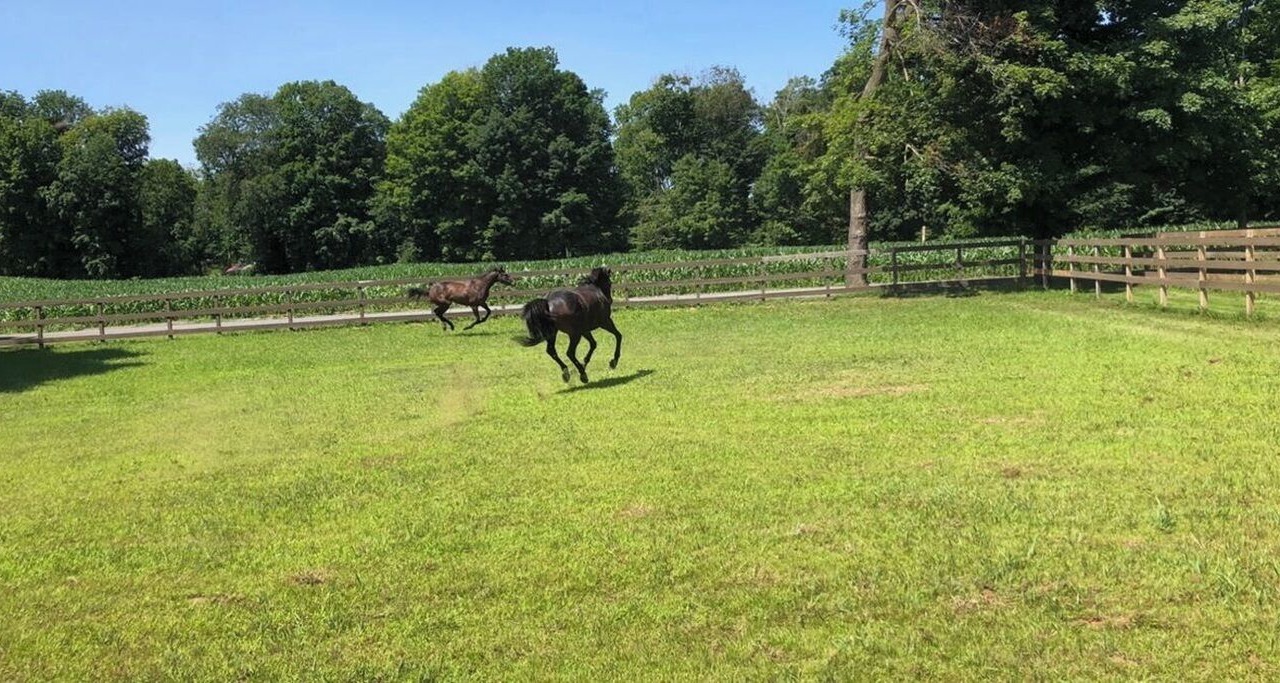 Photo of Others in Schuylerville