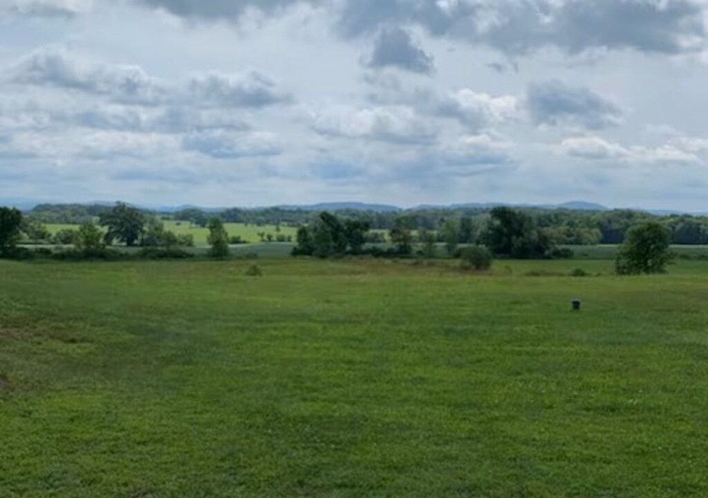 Photo of Others in Schuylerville