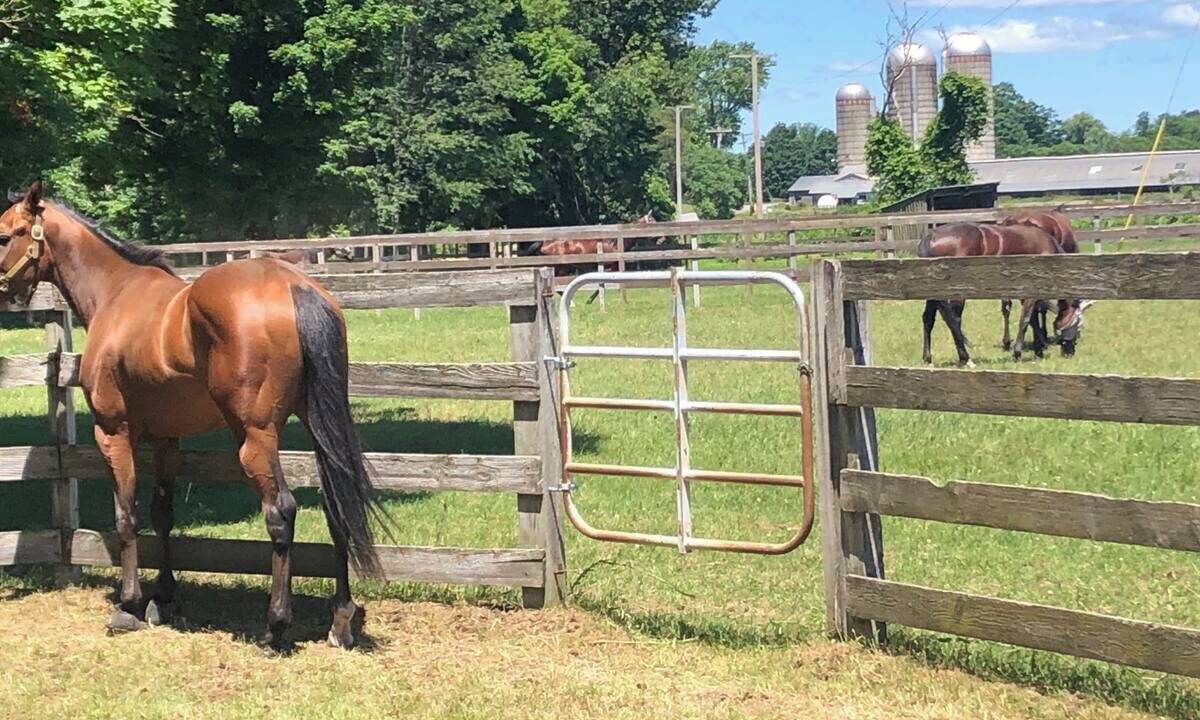 Photo of Others in Schuylerville