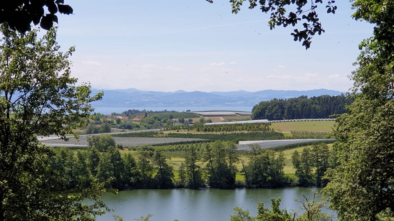 Photo of Others in Kressbronn