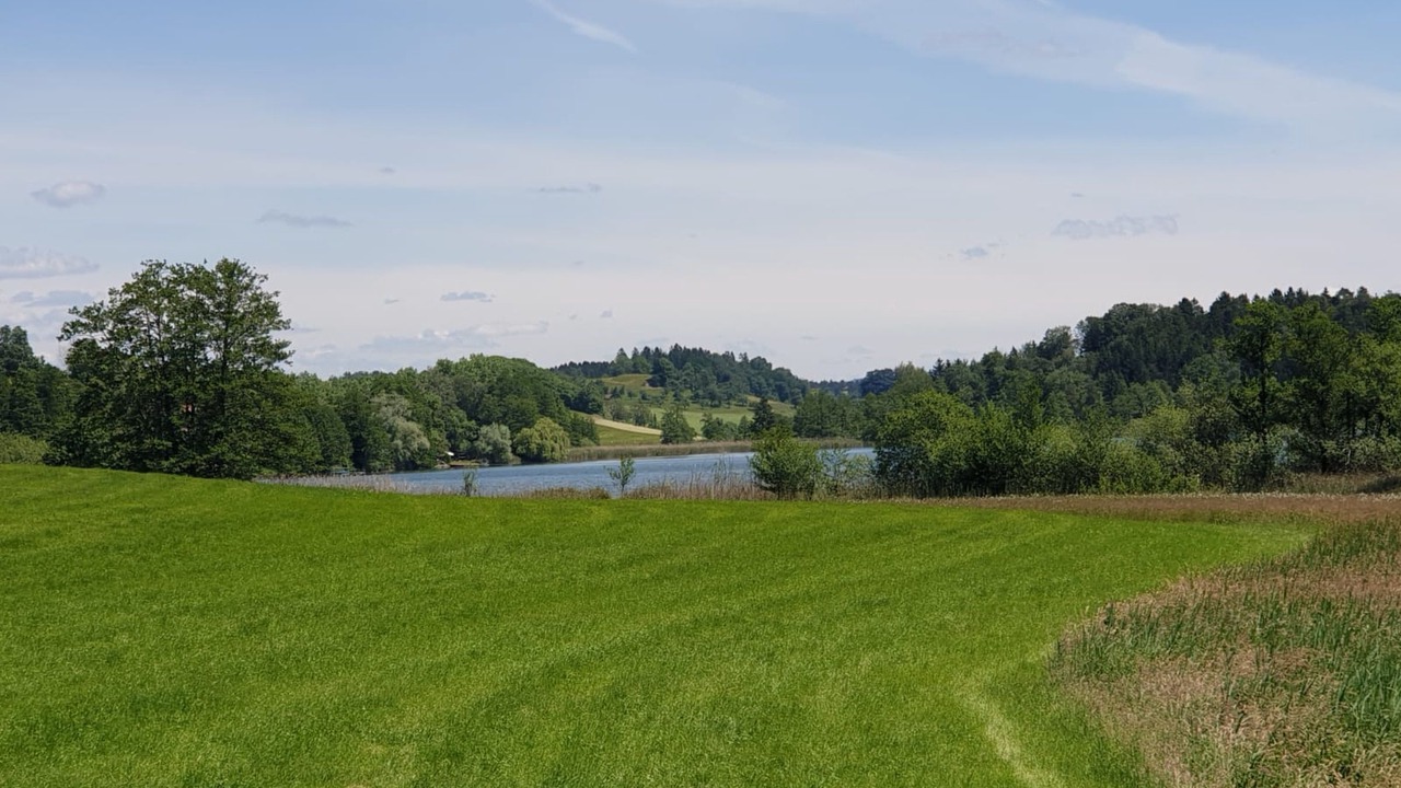 Photo of Others in Kressbronn